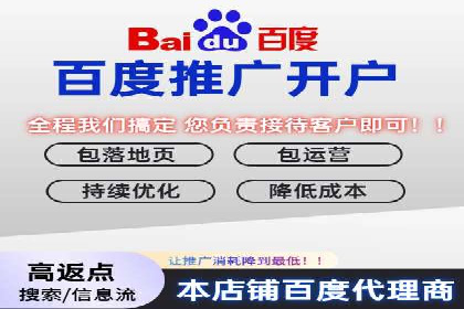 百度推广成本控制，案例深度解析